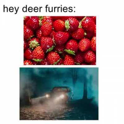 furry_irl