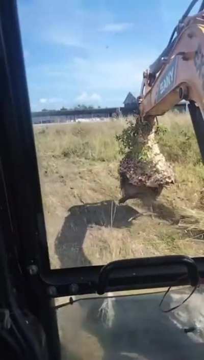 I got a backhoe. I got this.