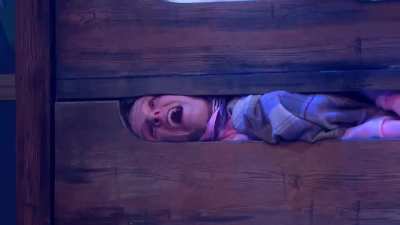 Bunk Bed Disaster