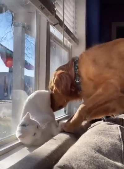 Warm and soft