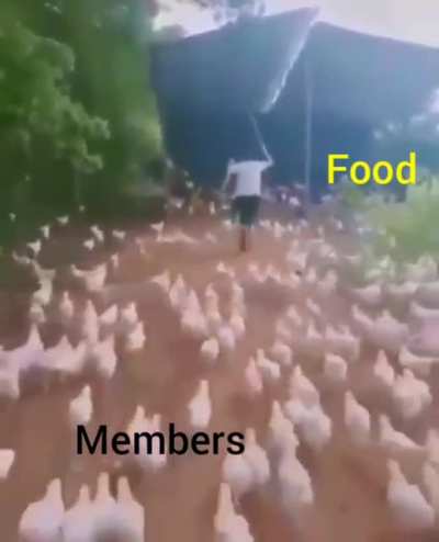 We just love food