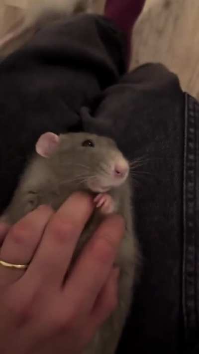  little man