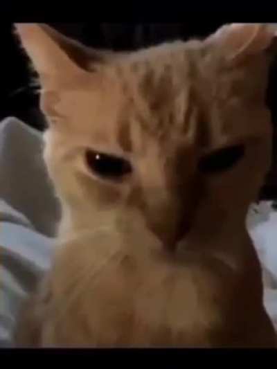 anger