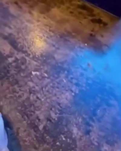 nice sound bro
