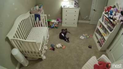 Pupper was banned from babys room, sneakiness ensues
