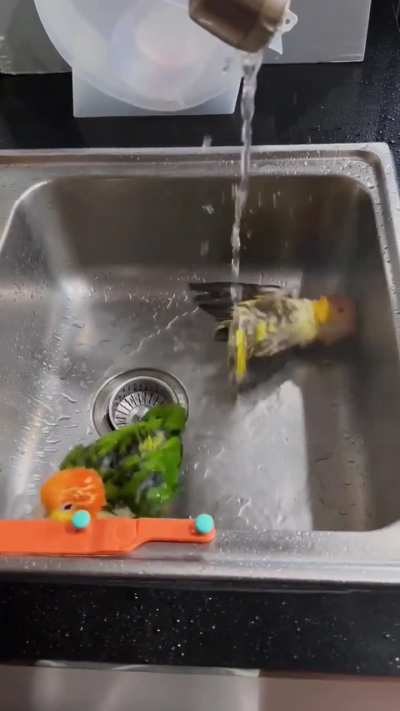 Bath time