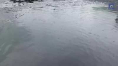 The water at this harbor is so deep that even a humpback whale can breach out of it without being noticed beforehand.