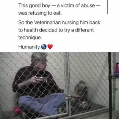 Good boy