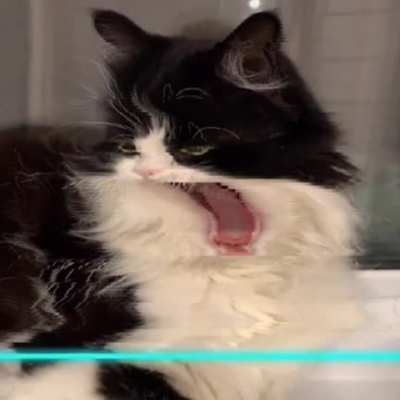 Title