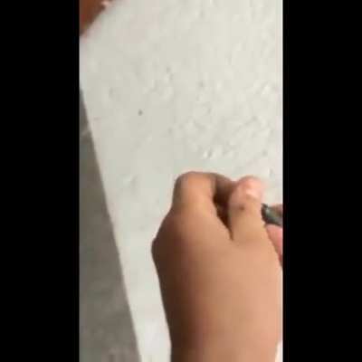 engeneer