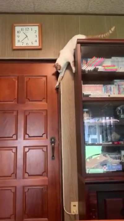 Escape artist