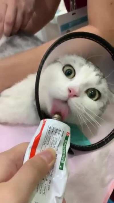 MlemlemlemlemaaaAAAA-