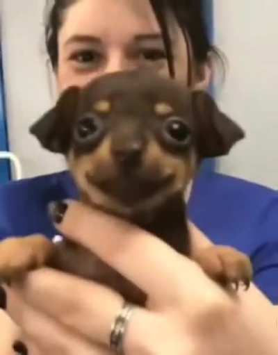 Kawaii