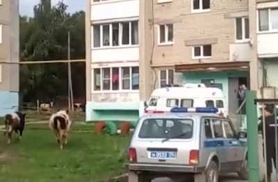 Забавно)