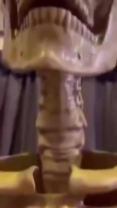 Muito conhecimento