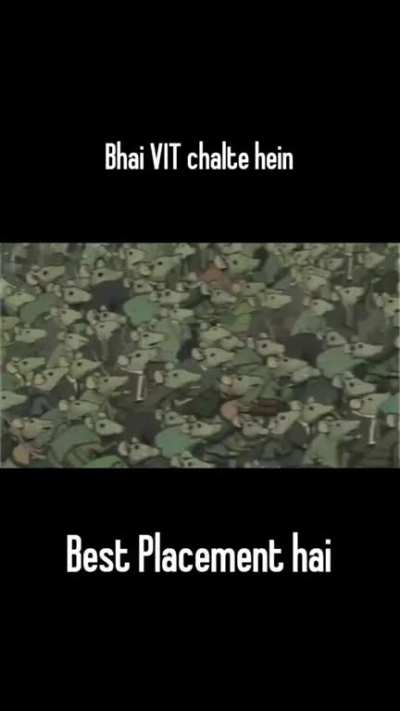 Best placement hai
