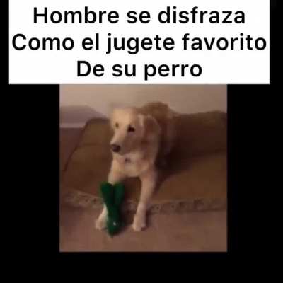 Sin título
