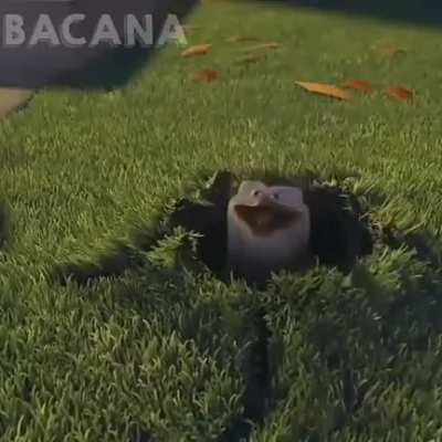titulo foi pegar o relatório.
