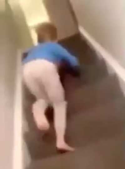 Titulo