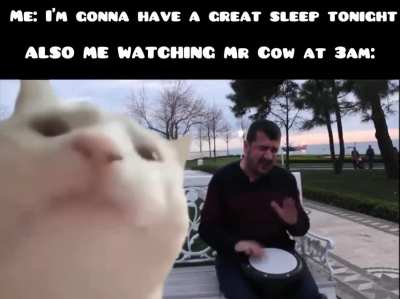 EU FROG Sadge