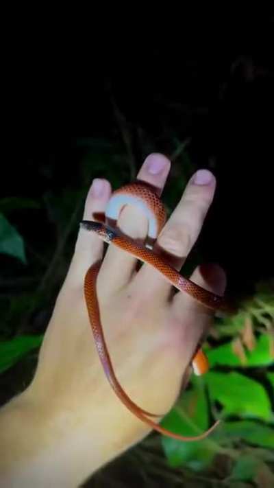 -boop- Those things are deadly.