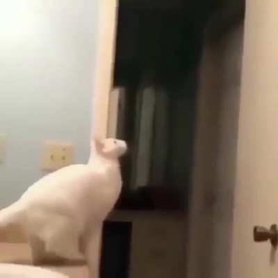 Jump