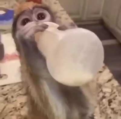 Don’t steal from monke >:(