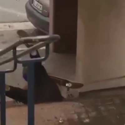 Sigma rule #93: Destroy all skater.