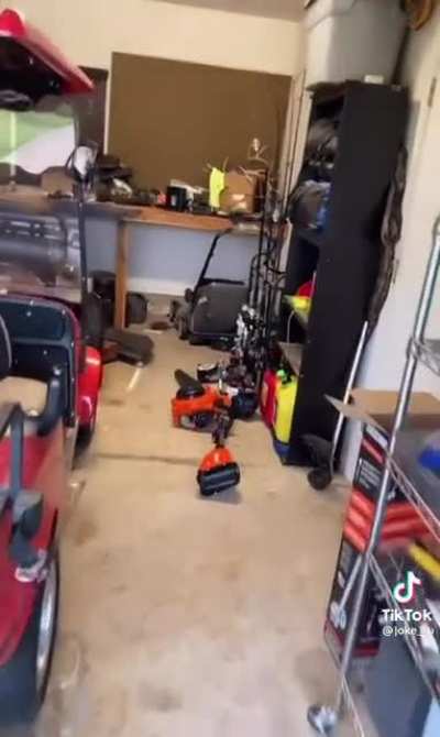 Rat Revenge