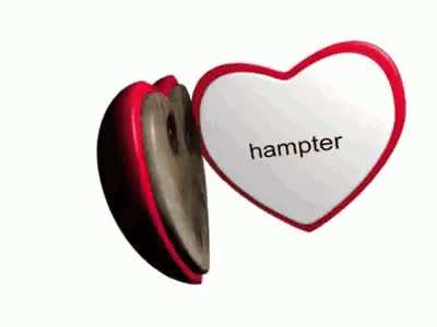 Hmter