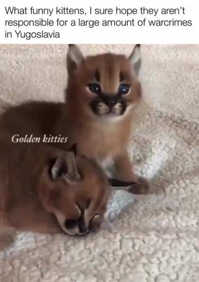 So funny and floppy