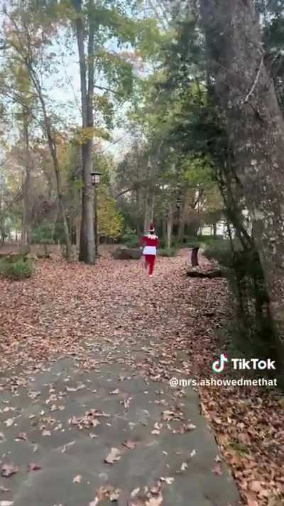 Saw a real life elf on the shelf and found her tiktok thought i would share