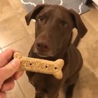 woof irl