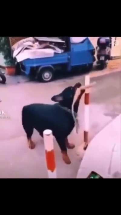 Oh no, fodei