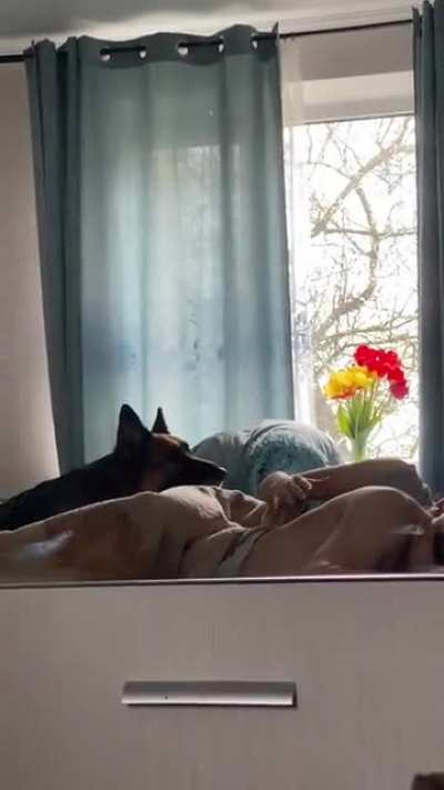 Ревну<wbr>ет...
