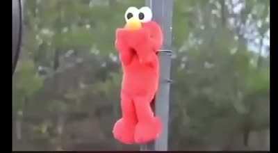 Elmo no more