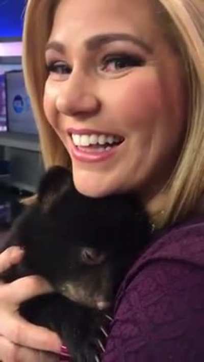 Bear Cub Sound When They Purr ❤️❤️❤️
