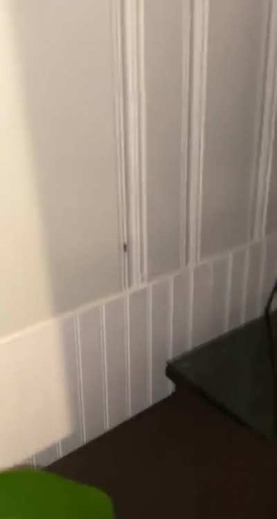 The spider was bigger than it looks…