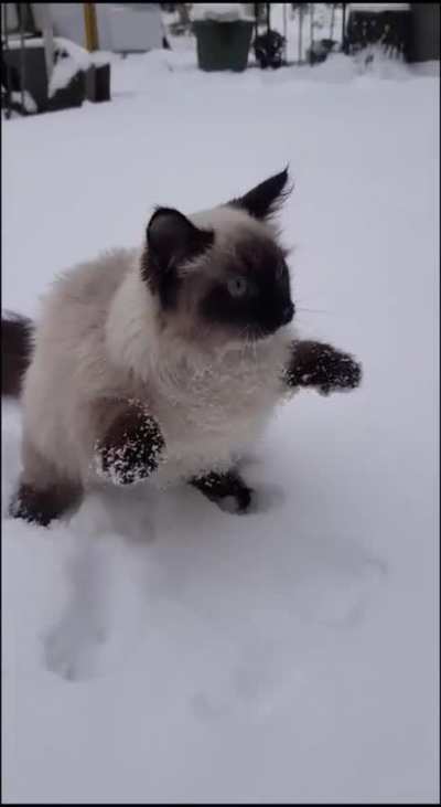 i dont like snow