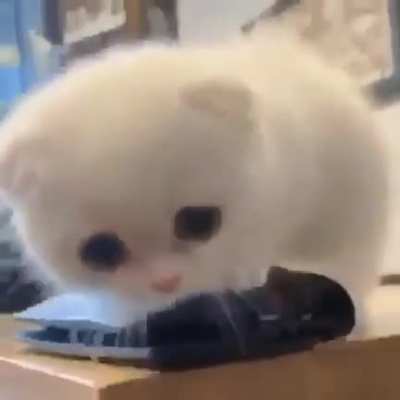 Anybody called me?