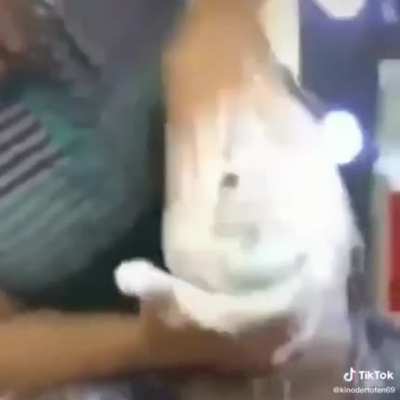 تحقيق