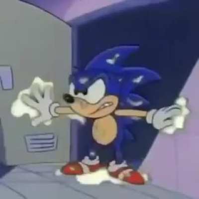 Sonic??! SONIC???!!!