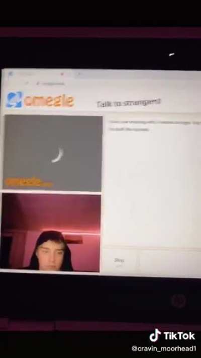 Boobies