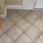 Guy slips on a banana peel