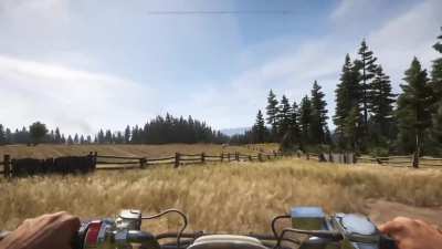 We interrupted the cows during their business and they made us regret that decision...