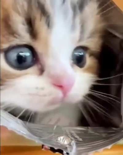 surprise chips