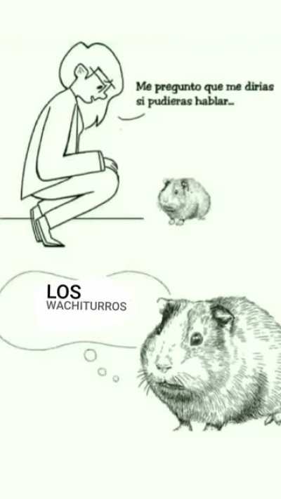wa chi tu rro