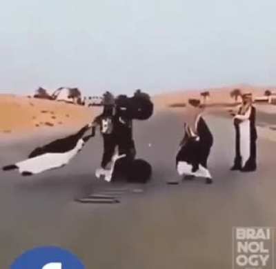 These guys are on a different level (xpost from unexpected)