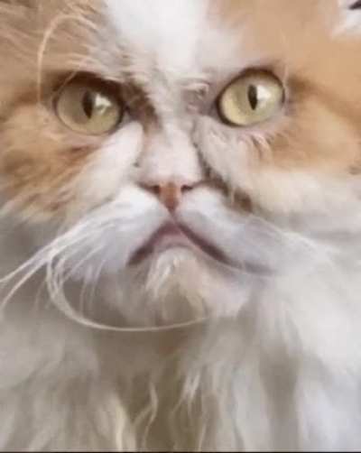 Hating own existence