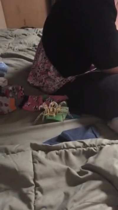 This video my cousin took on my phone